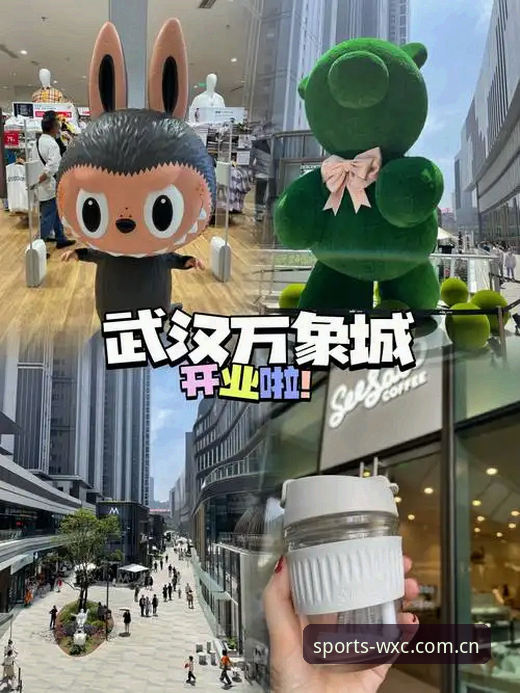 万象城体育APP安装教程全面解析：从下载到投注的实战指南